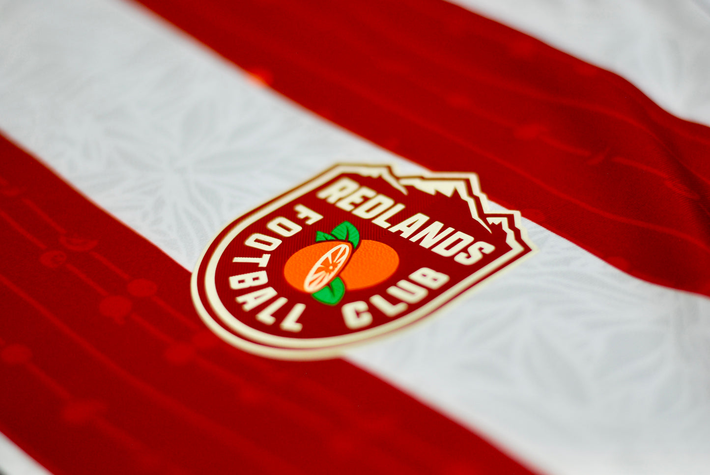 Inaria Jersey 2025 Stripes