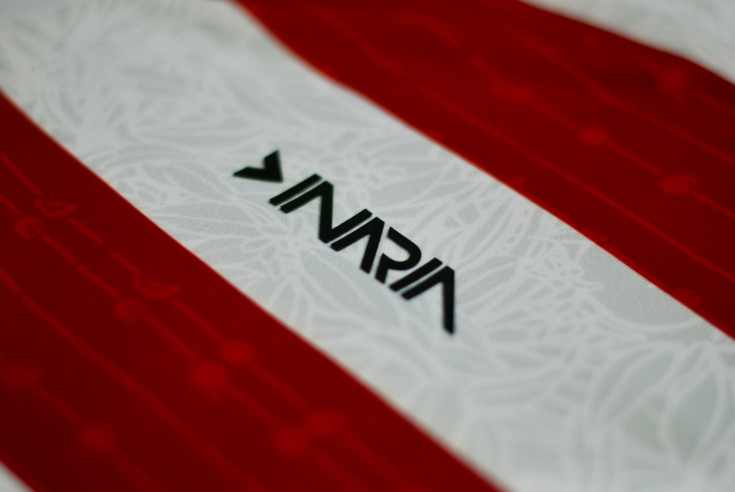 Inaria Jersey 2025 Stripes