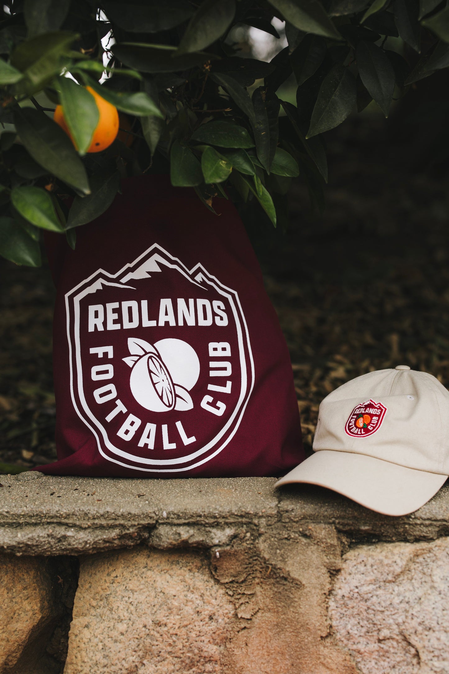 Tote Bag - shopify-image-53973399404826.jpg