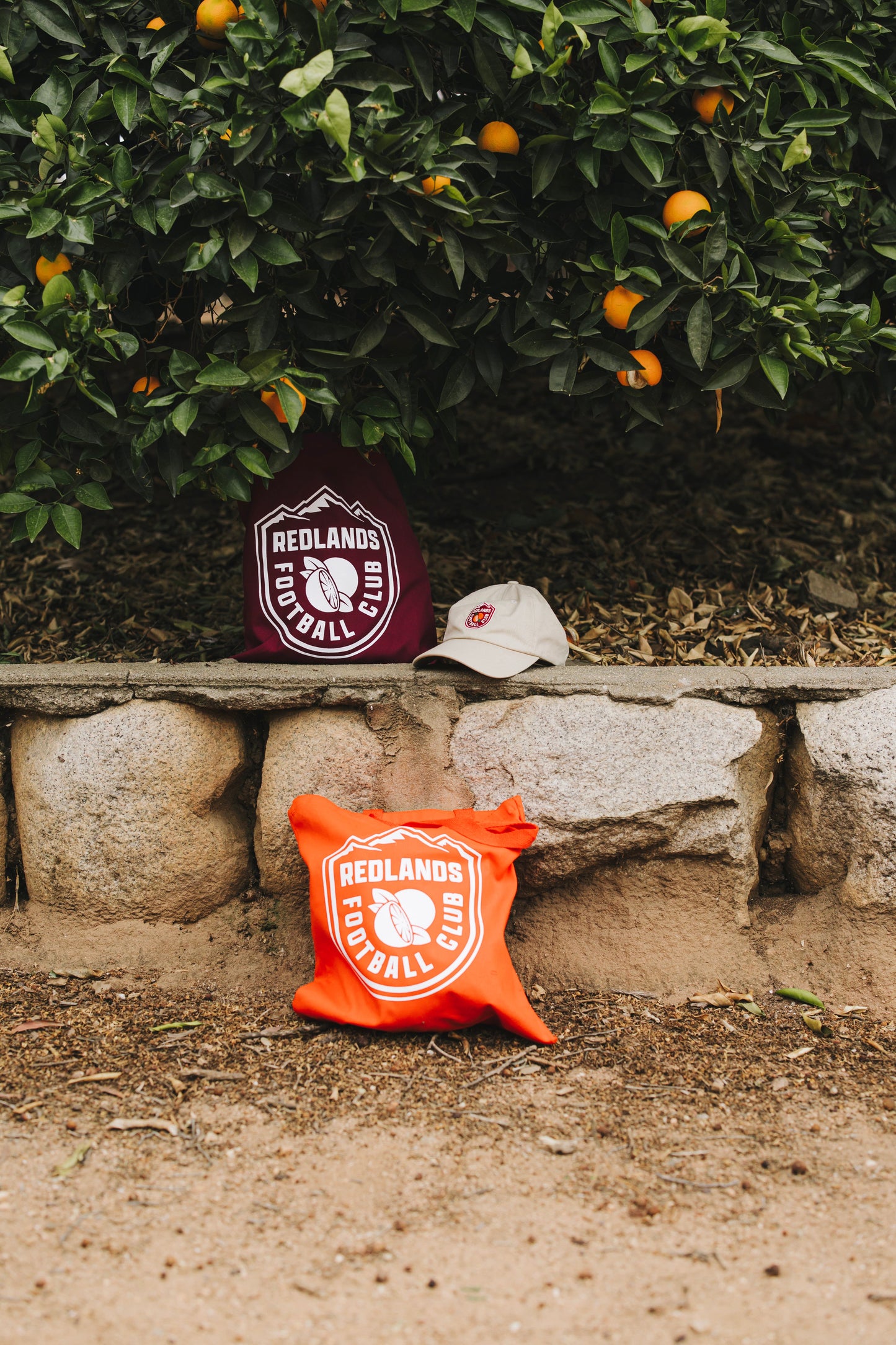 Tote Bag - shopify-image-53973399470362.jpg