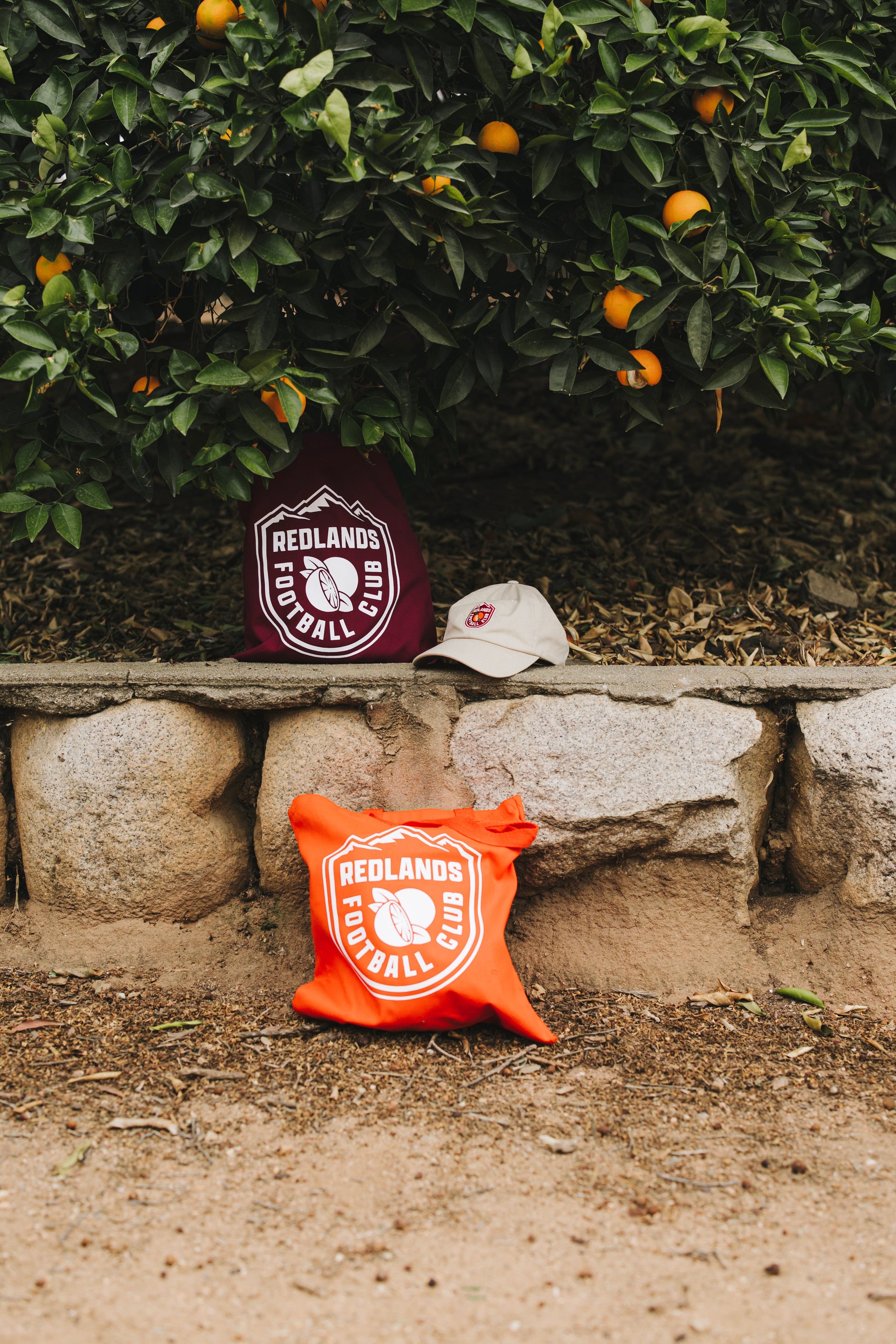 Tote Bag - shopify-image-53973399470362.jpg